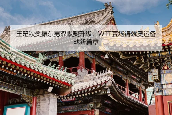 王楚钦樊振东男双默契升级，WTT赛场铸就奥运备战新篇章