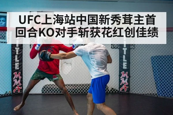 UFC上海站中国新秀茸主首回合KO对手斩获花红创佳绩